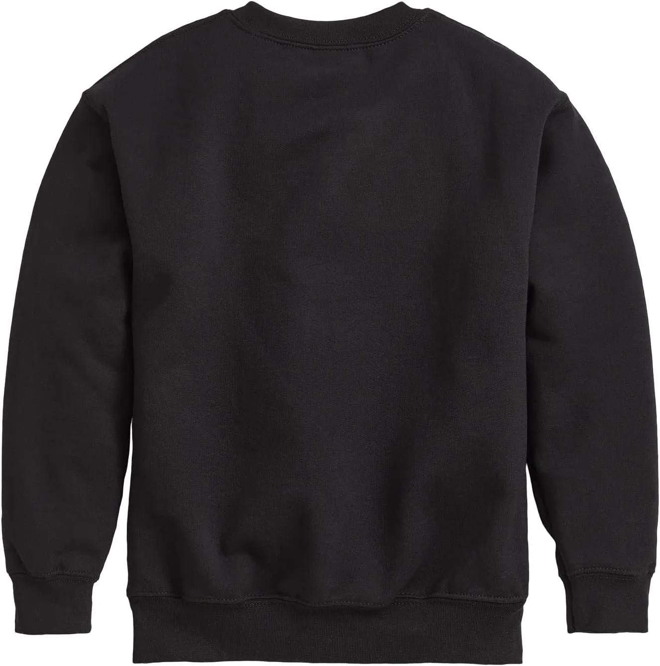 Disney The Lion King - Hakuna Matata - Sunshine - Toddler & Youth Crewneck Fleece Sweatshirt